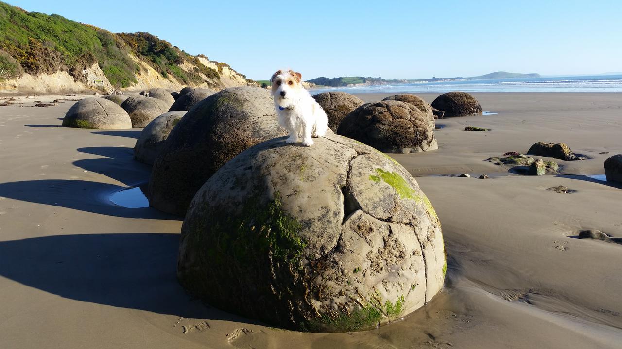 Moeraki Boulders Motel Hampden Exteriör bild